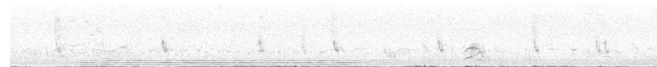 Western Marsh Harrier - ML654704362