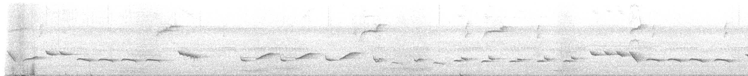 Bearded Scrub-Robin - ML654705313