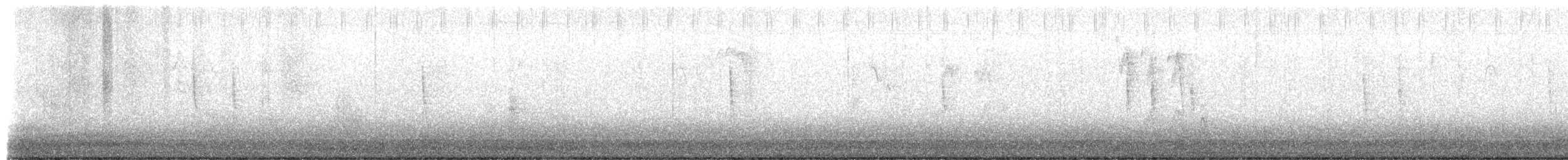 Troglodyte à bec court - ML654710075