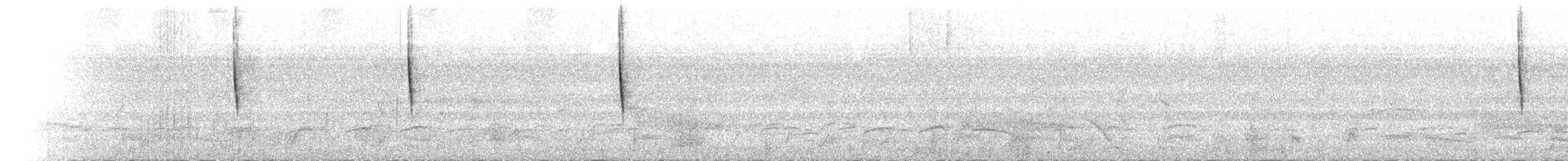 Blackpoll Warbler - ML654719824