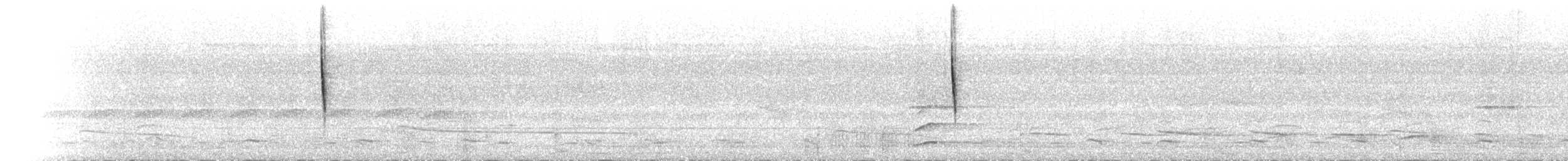 Blackpoll Warbler - ML654719829