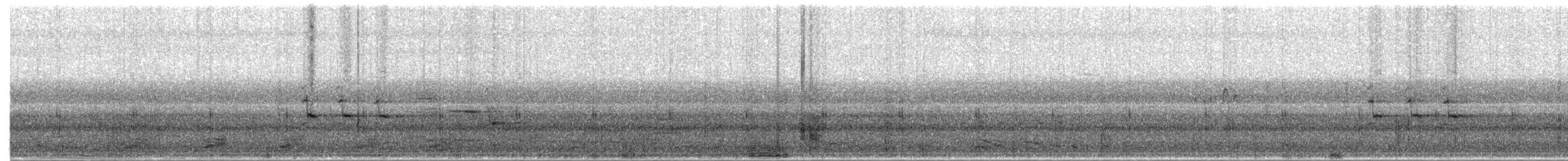 hårdrongo - ML654735324