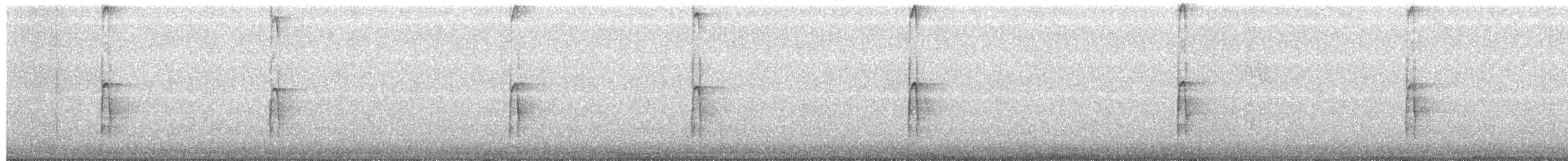 セジロアカゲラ（villosus グループ） - ML654752446