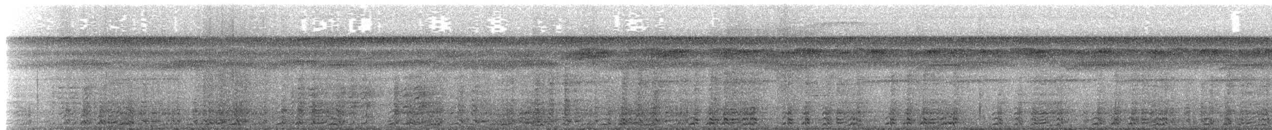 Variable Chachalaca - ML654764735