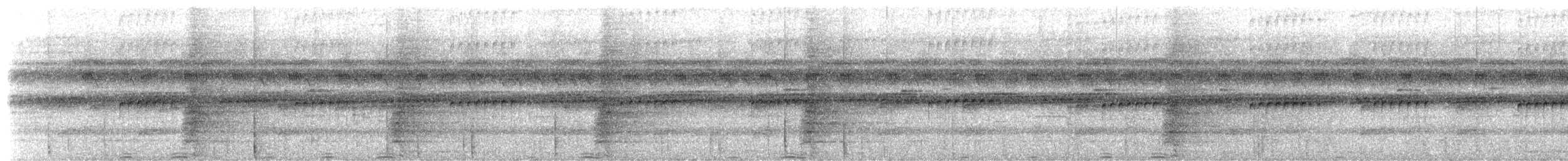 Grauflügel-Trompetervogel (crepitans) - ML654764915