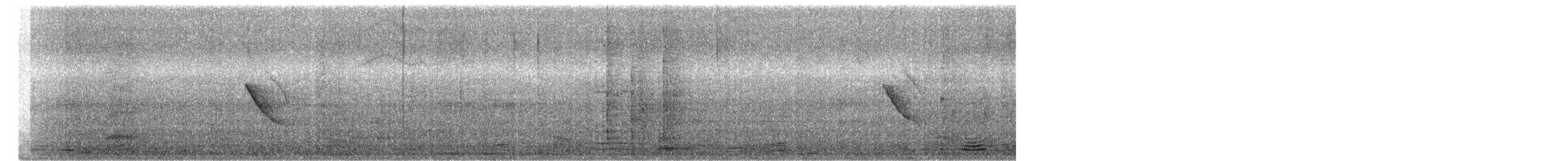 Common Tailorbird - ML654781806