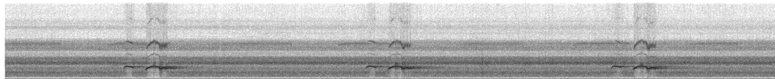 Large Hawk-Cuckoo - ML654781828