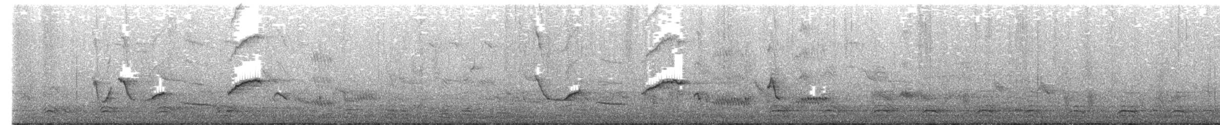 Weißhand-Kernbeißer - ML654789319