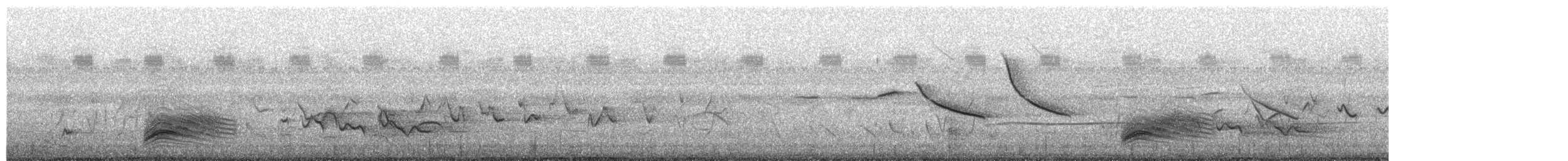 Solitary Black Cacique - ML654810774