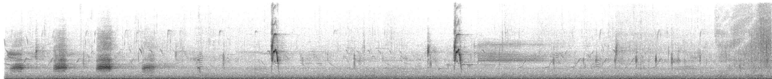 Stockente - ML654813400