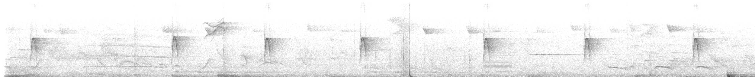 חטפית ירקרקה - ML654815609