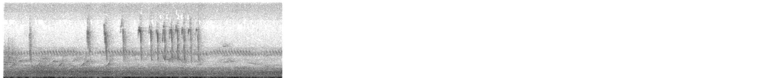 Troglodyte à bec court - ML654818937