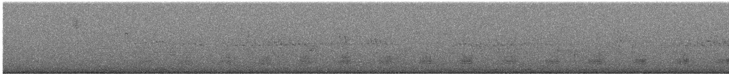 Stockente - ML654819562