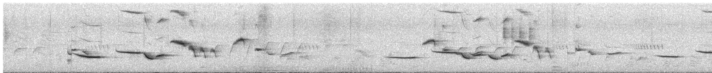 Bearded Scrub-Robin (Bearded) - ML654831067