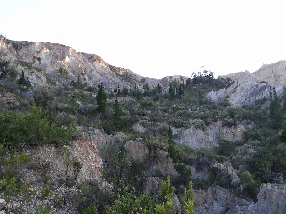 null - ML654843513