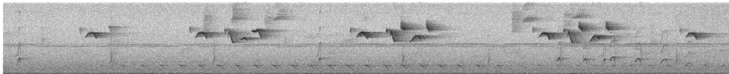 Blue-crowned Trogon - ML654851384