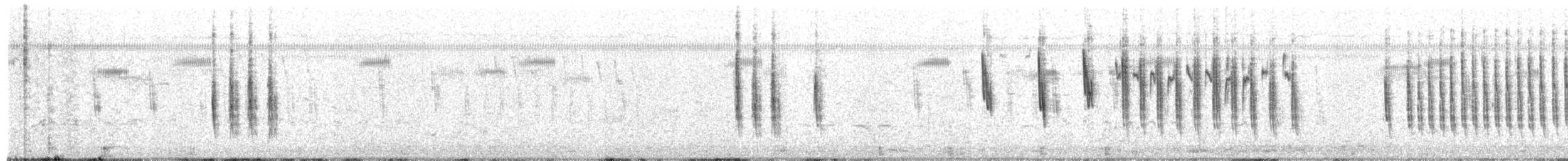 Troglodyte à bec court - ML654851779
