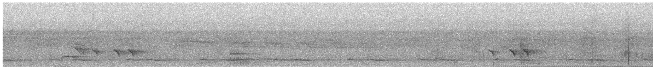 White-browed Shrike-Babbler (Blyth's) - ML654852037