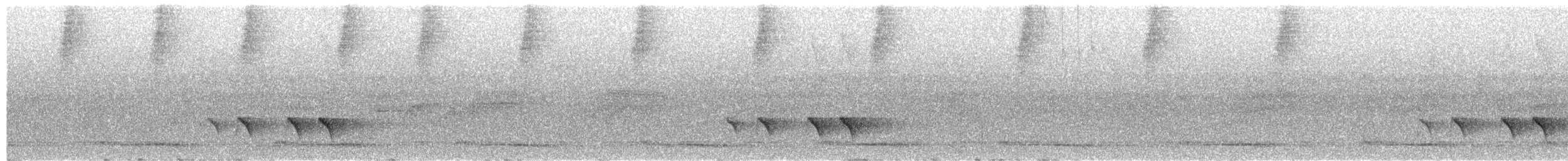 White-browed Shrike-Babbler (Blyth's) - ML654852038