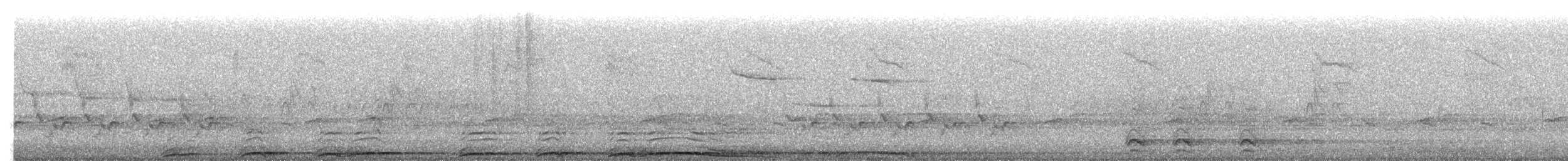 Chouette rayée - ML654852054