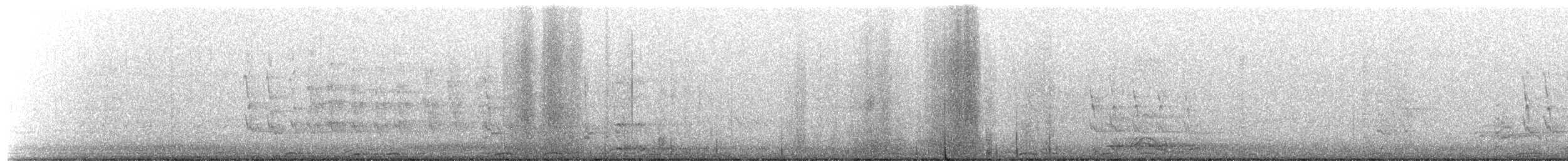 Chouette rayée - ML654852877