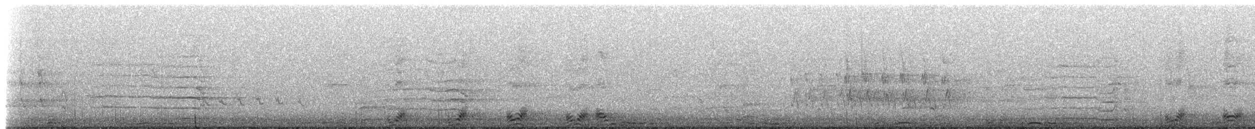 Chouette rayée - ML654852878