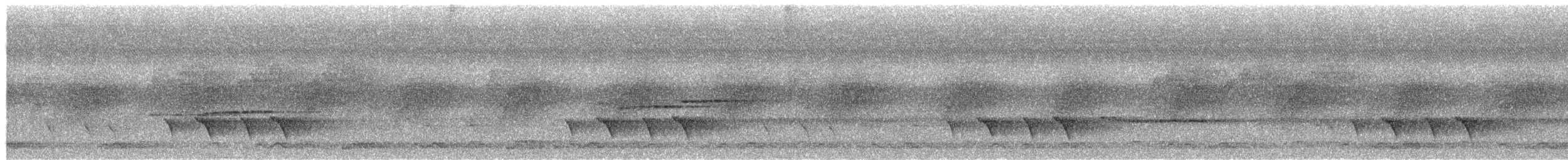 White-browed Shrike-Babbler (Blyth's) - ML654854396