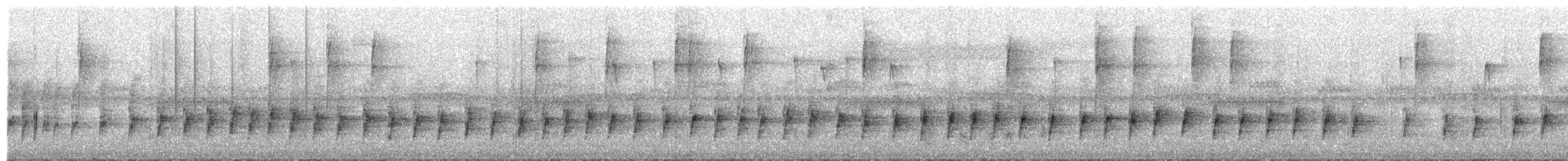 Two-banded Warbler - ML654855439
