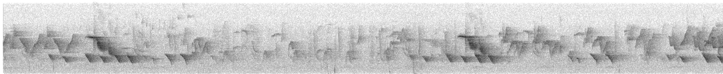 White-browed Shrike-Babbler (Blyth's) - ML654858139