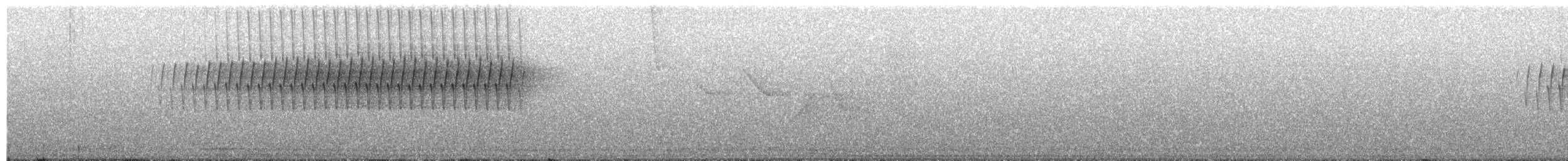 Worm-eating Warbler - ML654862637