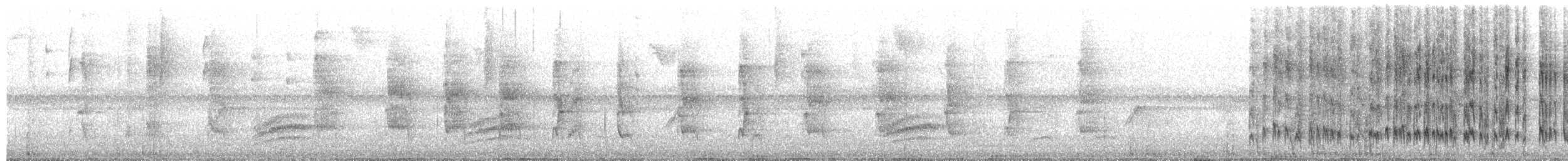 Sclater's Tyrannulet - ML654863361
