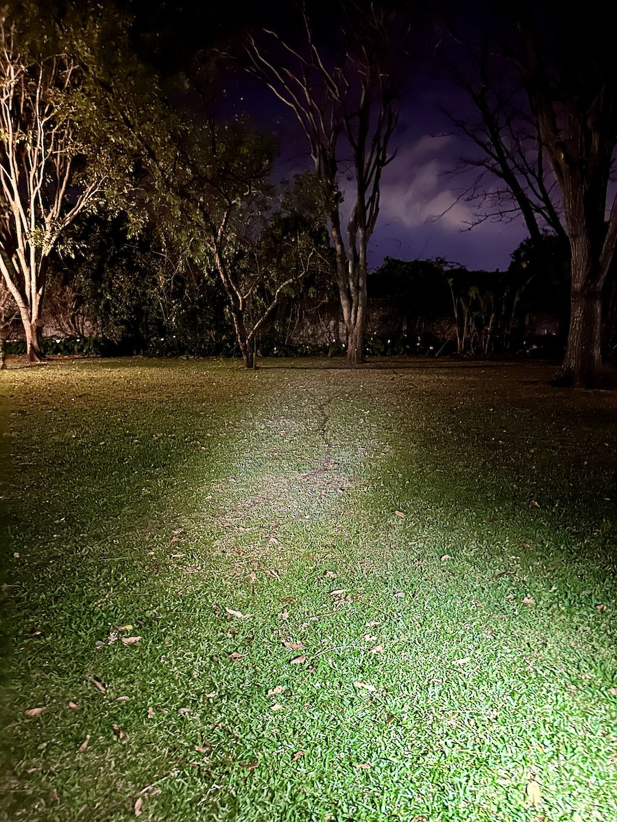 null - ML654866635