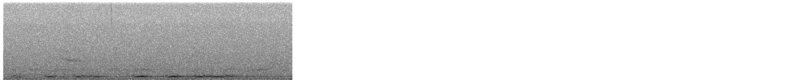 Chouette rayée - ML654868664