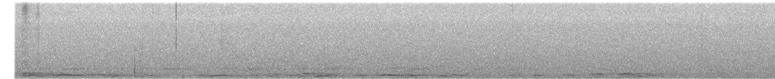 Chouette rayée - ML654868766