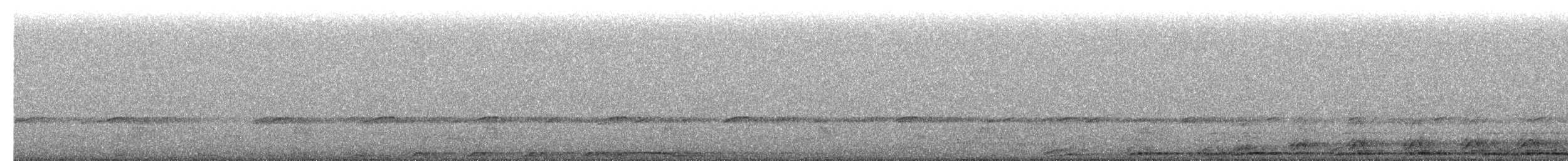 Chouette rayée - ML654869354