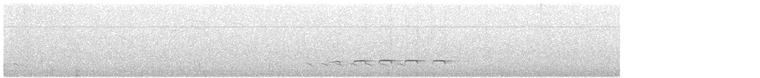 Weißbinden-Ameisenvogel - ML65487151