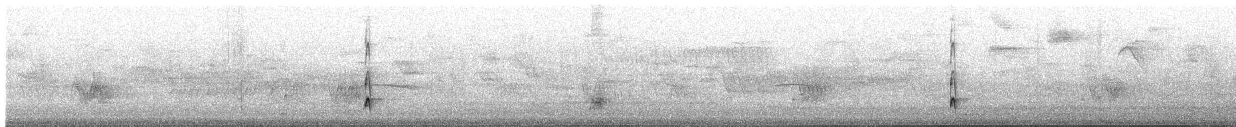 Brown-crested Flycatcher - ML654871754