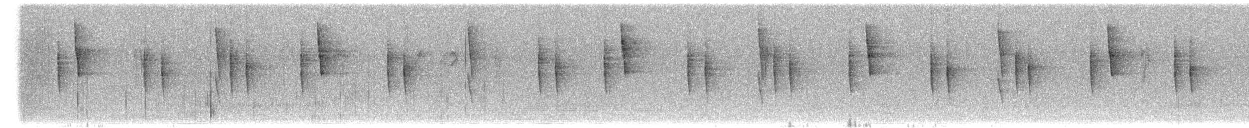 Mexican Violetear - ML654875178