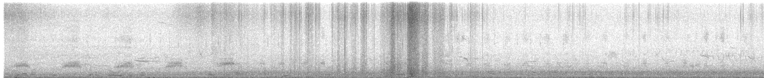 Stockente - ML654876480