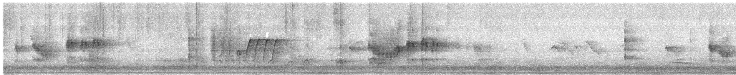 Black Redstart - ML654879485