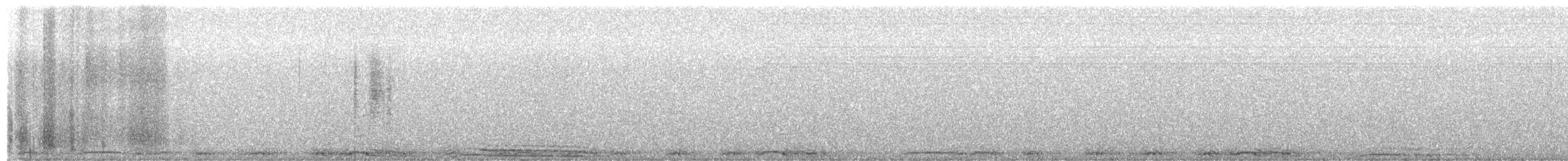 Chouette rayée - ML654880254