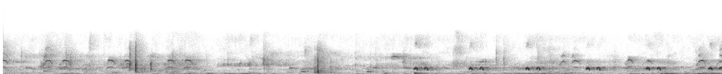 Black Coucal - ML654887964