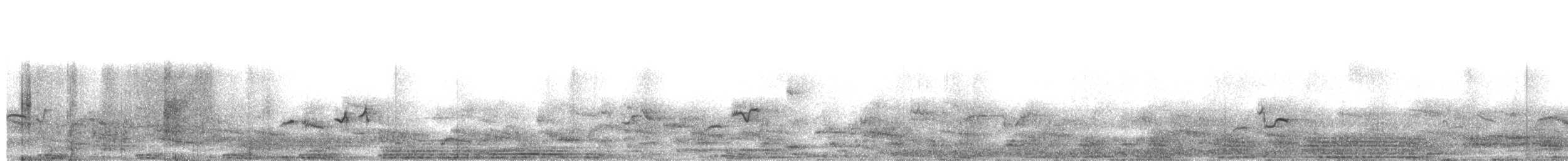 African Penguin - ML654888060