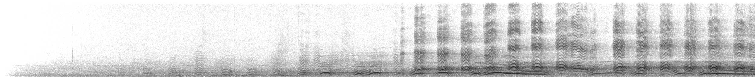 Chouette rayée - ML654888306