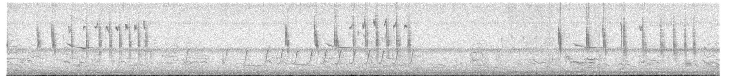 Troglodyte à bec court - ML654889185