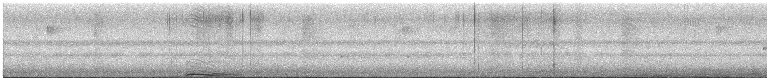 Chouette rayée - ML654890872