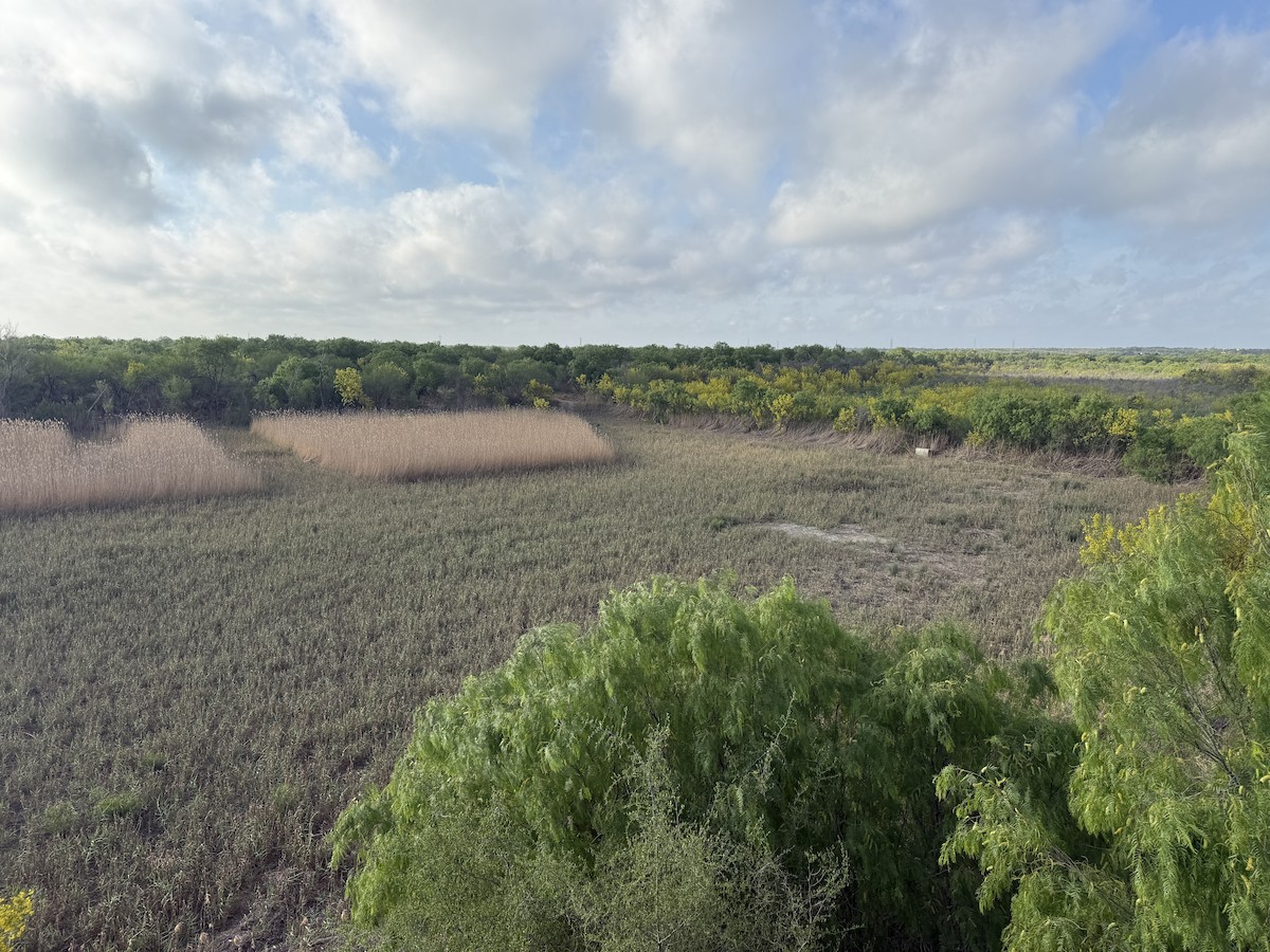null - ML654898413