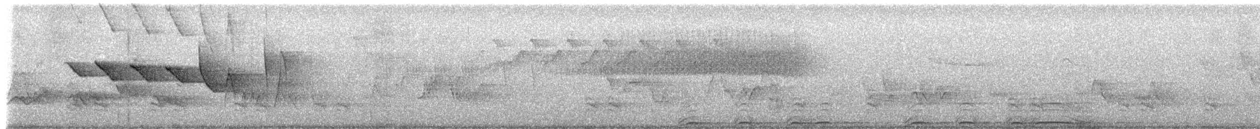 Chouette rayée - ML654903175