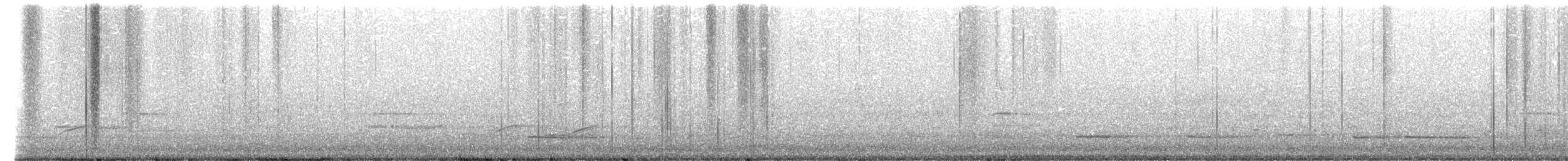 Chouette rayée - ML654903201