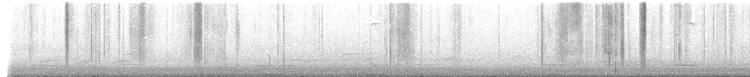 Chouette rayée - ML654903302